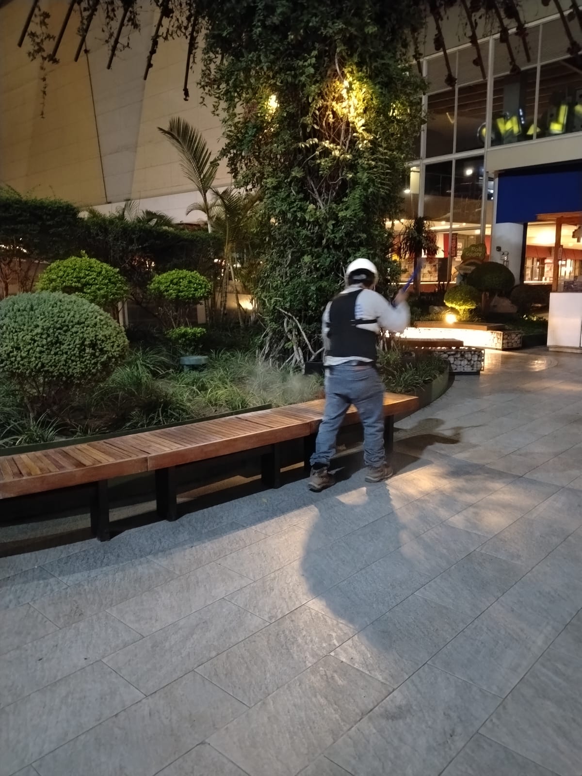Trabajo JAP PERÚ 3