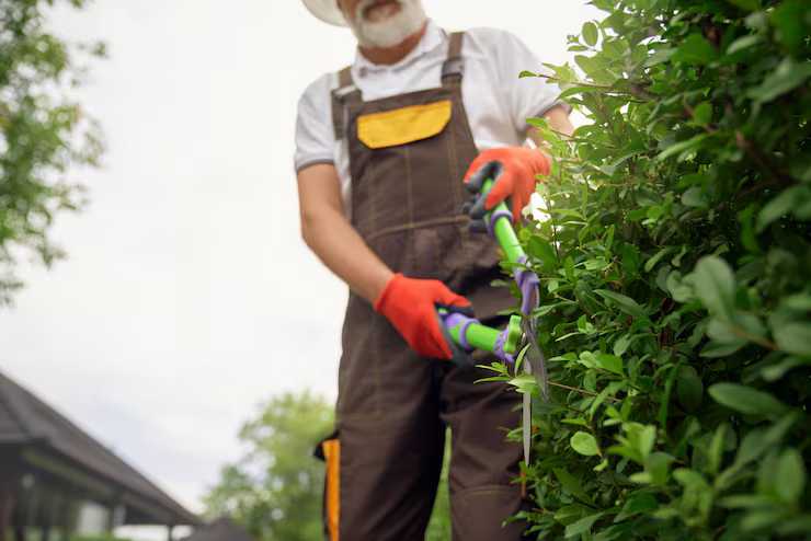 Trabajo JAP PERÚ 4